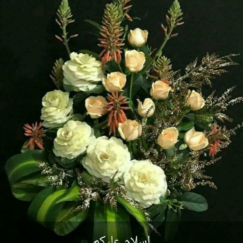 Meet your Posher, Uzma